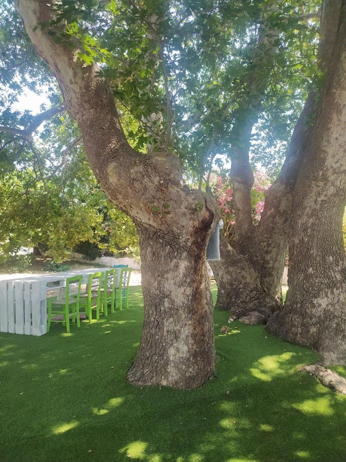 Hébergement de vacances ο κήπος The Garden Sitía