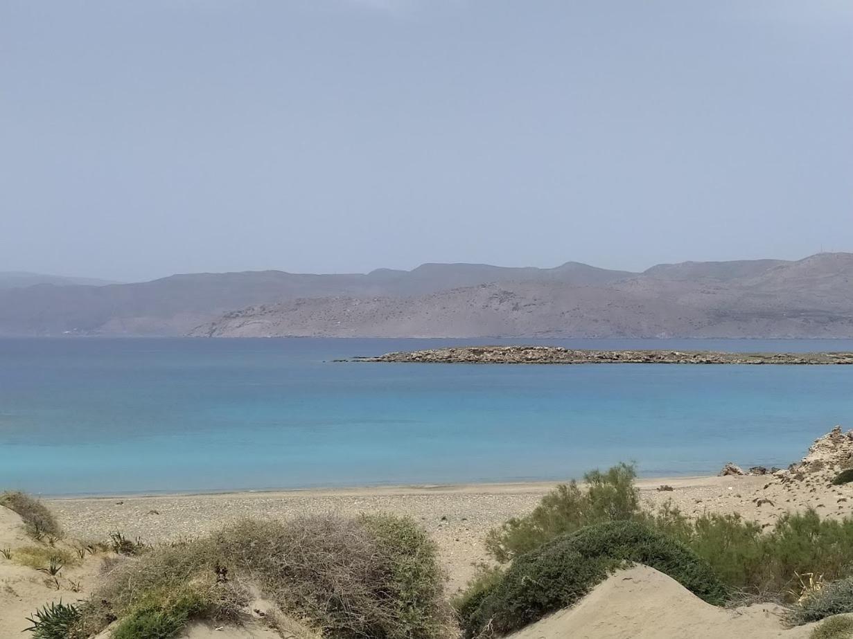 בית נופש ο κήπος The Garden