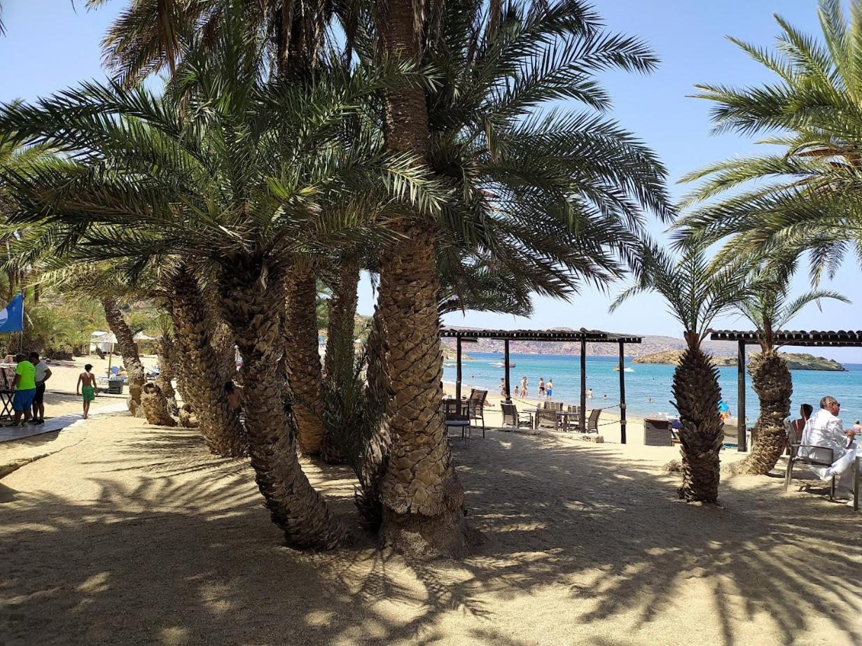 ο κήπος The Garden סיטייה