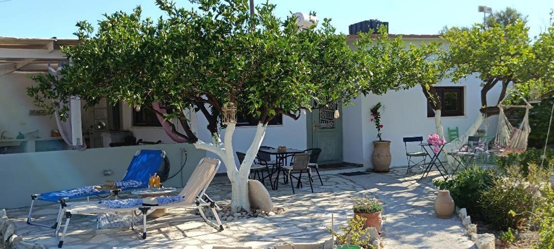 Casa vacanze ο κήπος The Garden Sitia (Crete)